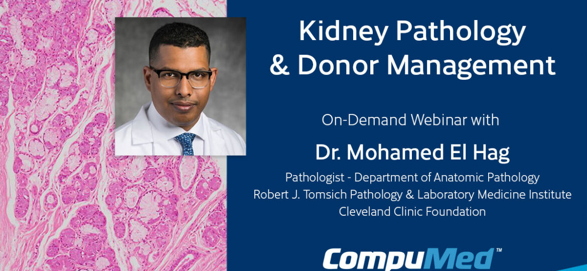 Kidney-Pathology-on-demand (Demo)