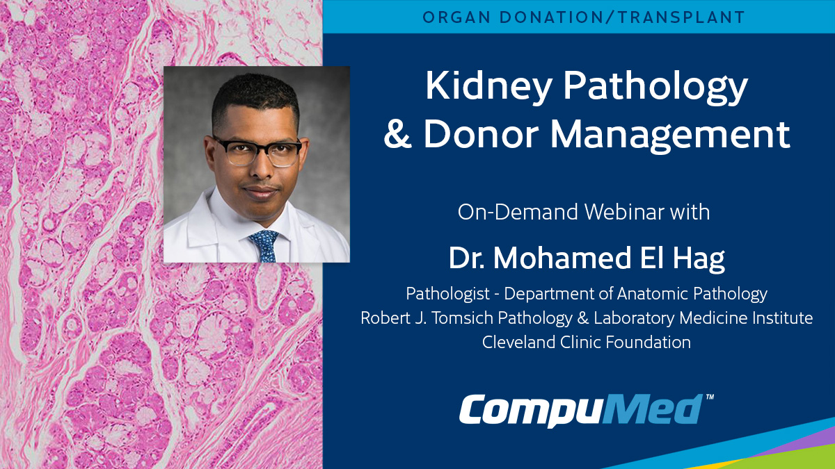 Kidney-Pathology-on-demand (Demo)