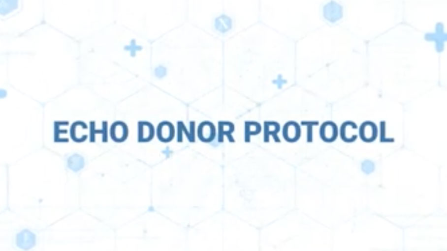 Echo Donor Protocol