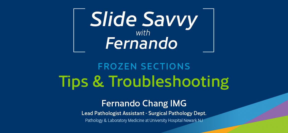 Slide-Savvy-series-blog