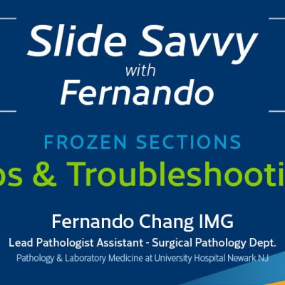 Slide-Savvy-series-blog