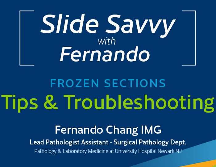 Slide-Savvy-series-blog