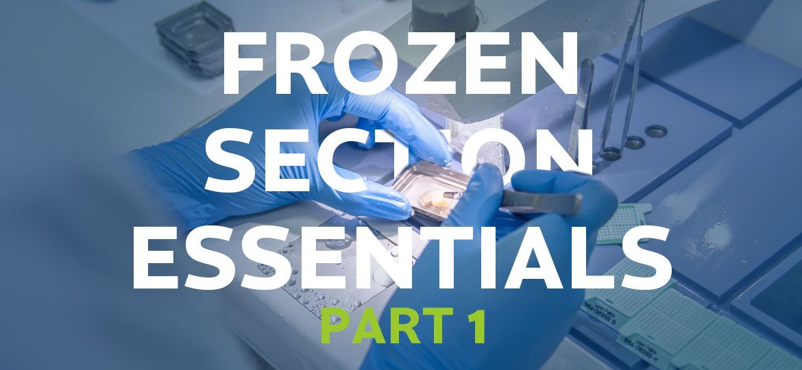 Frozen-Section-Essentials-1