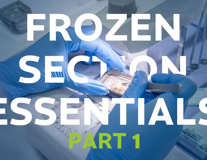 Frozen-Section-Essentials-1