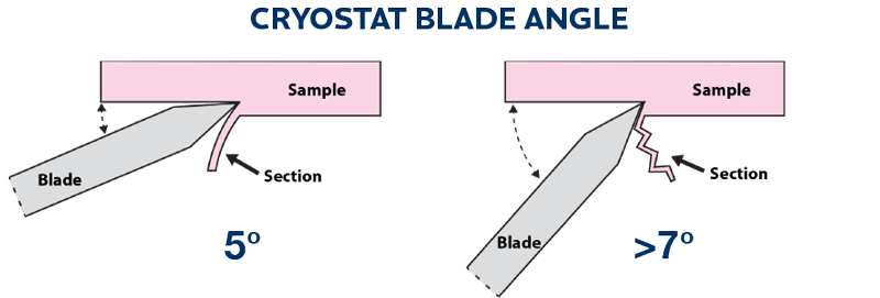 Cryostat blade angle for frozen sections